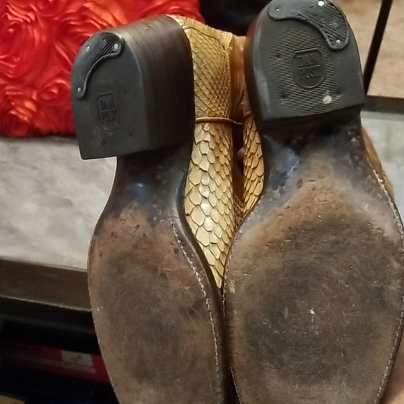 DAN POST PYTHON - Picture 8 of 8